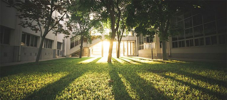 İntfa Blog Hizmetinizde