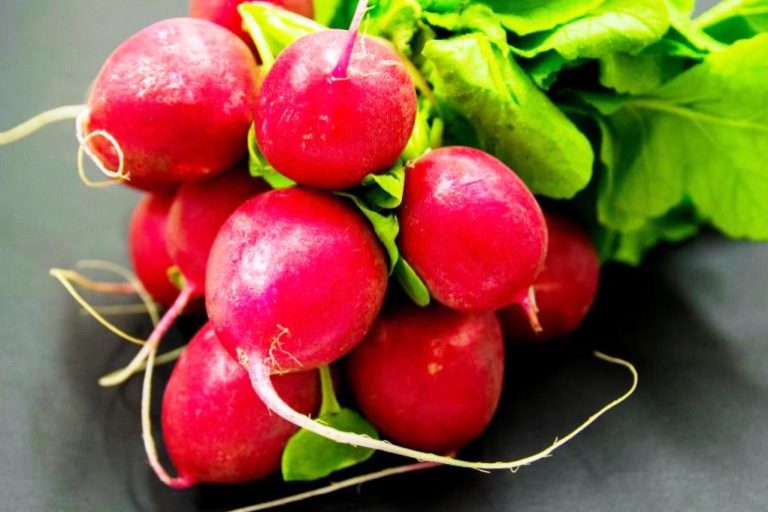 Turp Yetiştiriciliği