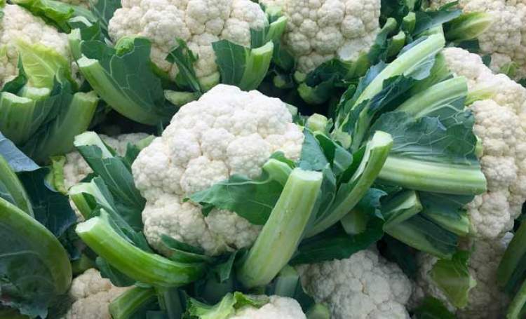 Karnabahar Toprak İstekleri