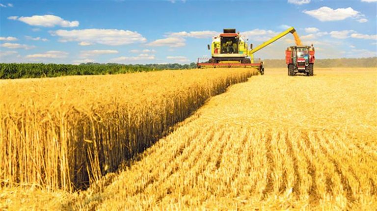 Ülkemizde Ekim Nöbeti Yöntemleri