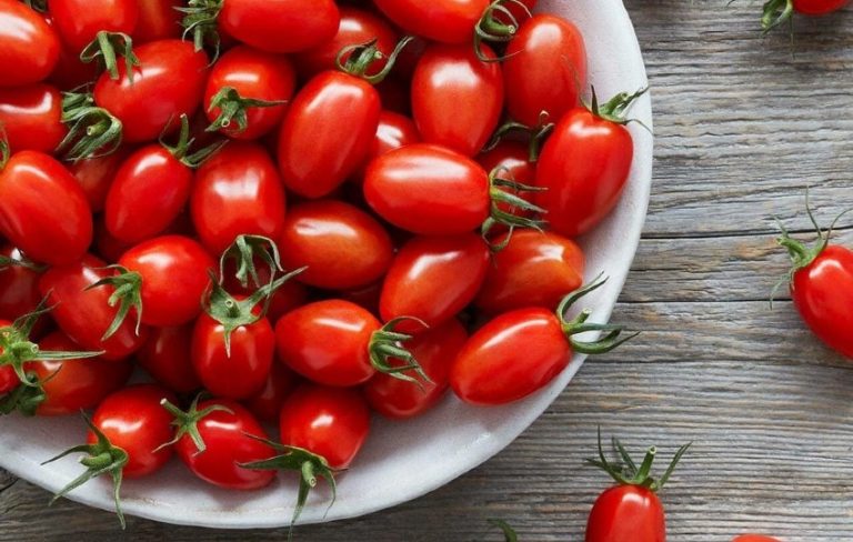 Domates Yetiştiriciliği