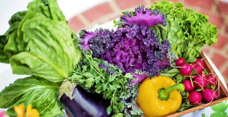 Sebzelerin Yetiştirme Mevsimlerine Göre Sınıflandırması