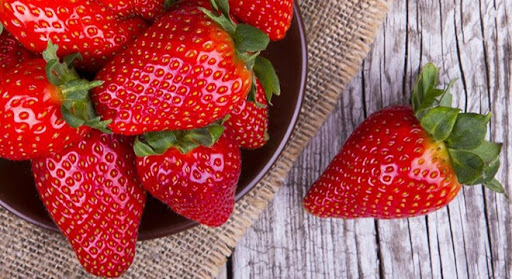 Rubigem Çilek Fidesi Yetiştiriciliği