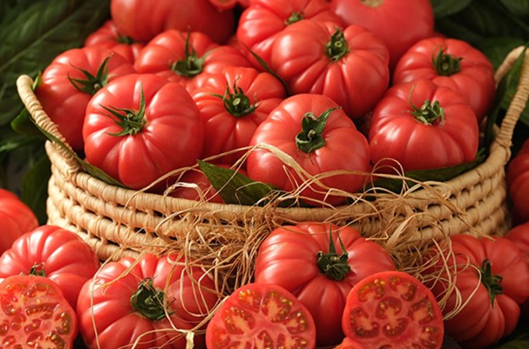 Köy Domatesi Çeşitleri