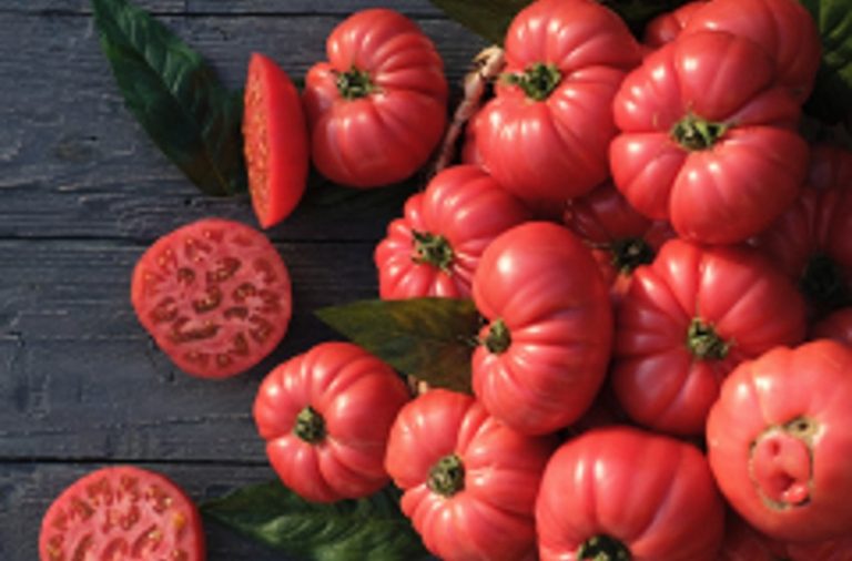 Pembe Domates Çeşitleri