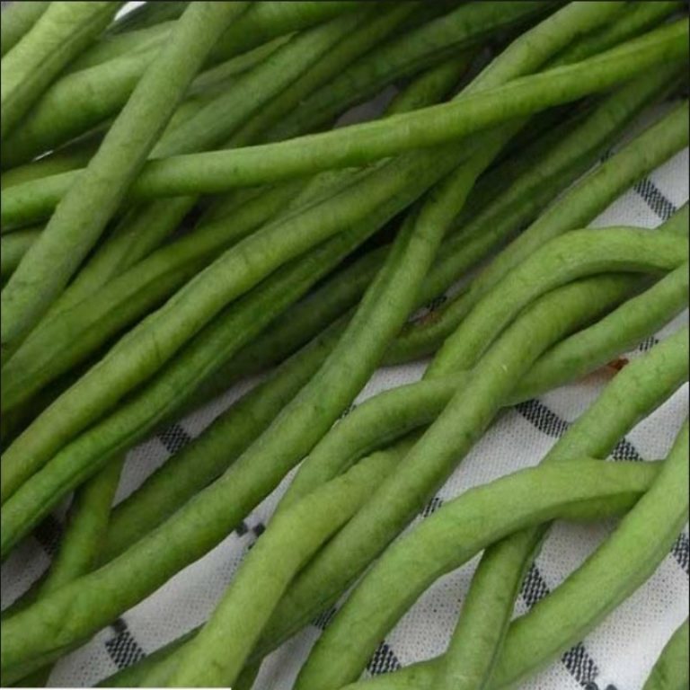 Börülce Yetiştiriciliği