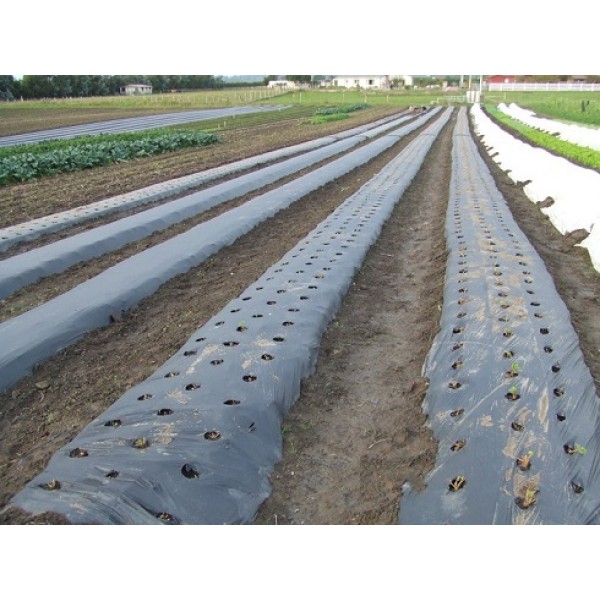 Malç Naylonu Kullanım Avantajları