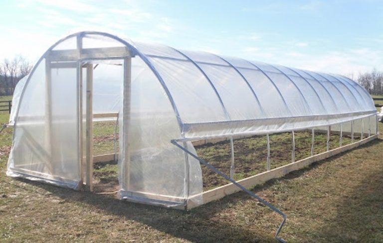 Sera Kurulumu Nasıl Yapılmaktadır