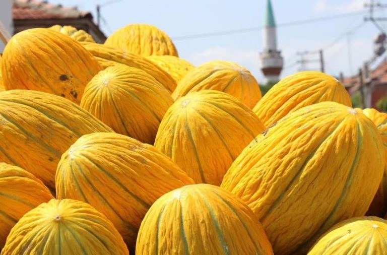 Kavun da Muhafaza Şekilleri